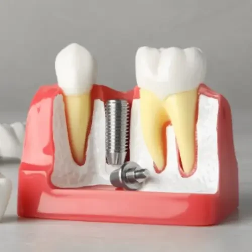 2-rebelczny1kkaln1prt2ie8vnws1pb47uqwamu2nbc